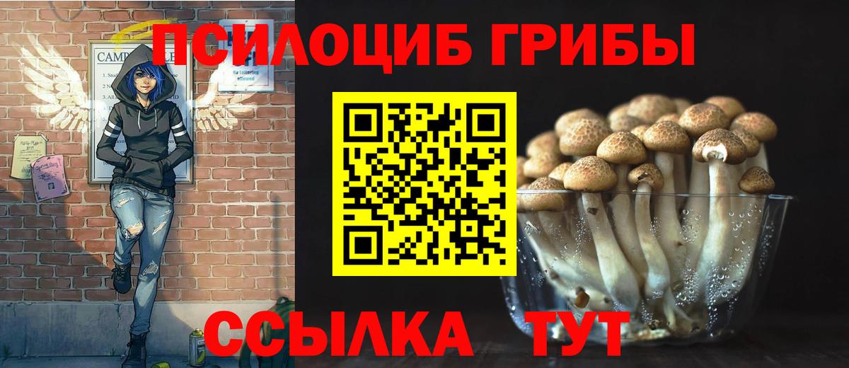 Псилоцибиновые грибы прущие грибы Кушва